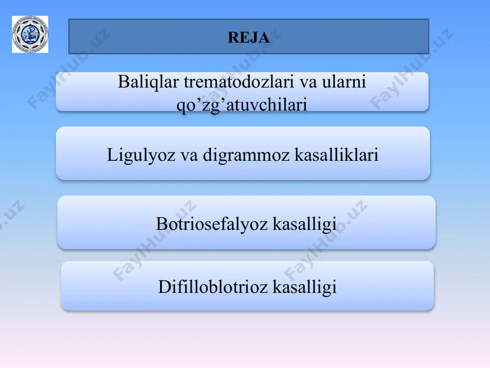 si ham kiprikli chuvalchanglarnikiga o‘xshaydi, lekin trematodalar, shu jumladan, jigar qurtining tanasi ham tegument deb ataluvchi sitoplazmatik po‘st bilan qoplangan. bu ikki, ya’ni yadrosiz tashqi va yadroga ega bo‘lgan ichki qavatdan iborat. tegumentnnng tashqi va ichki qavati plazmatik membrana orqali ajralib turadi. membrana ostidagi sitoplazmada bir necha mayda vakuolalar, shuningdek mitoxondriyalar va ko‘tikuladan iborat kichik tukchalar mavjuddir. tegument tashqi qavatining ostki tomoni bazal membrana bilan qoplangan, uning mayda teshikchalari orqali sitoplazmatik ipchalar o‘tib, tegumentninng ikkala qavatini bir-biri bilan tutashtirib turadi. opistorxoz bu it va boshqa go‘shtxo‘r hayvonlar hamda odamlarning tabiiy-o‘choqli invazion kasalligi bo‘lib, uni opistorchis felileus (oilasi opistorchidae)ni hayvonlarning jigar o‘t yo‘llarida, o‘t pufagida, ba’zan esa oshqozon osti bezining yo‘llarida parazitlik qilishi tufayli qo‘zg‘atiladi. qo‘zg‘atuvchisi. trematodaning tana uzunligi 8-13 mm, eni 1-1,5 mm. bosh tomoni biroz toraygan, orqa qismi esa kengaygan. oldingi tomonida og‘iz so‘rg‘ichi, tomoq, undan esa qizilo‘ngach va qizilo‘ngach bifurkatsiyalanib ichak naylarini hosil qiladi. qorin so‘rg‘ichi tananing to‘rtdan …