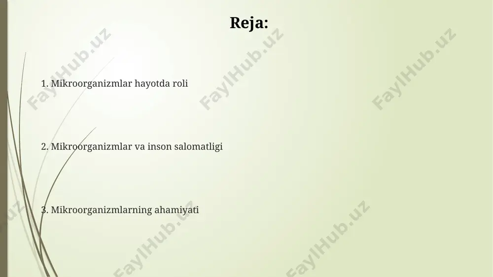 otlarini ishlab chiqarishda muhim rol o'ynaydi, fermentatsiya jarayonini tezlashtirib, mahsulotning sifatini va saqlash muddatini 2-3 baravar oshiradi. mikroorganizmlarning ekologik ahamiyati mikroorganizmlar, o'simliklarning o'sishi va rivojlanishi uchun muhim bo'lgan 100 dan ortiq elementlarni tuproqdan o'zlashtirishlariga yordam beradi, bu esa yerning unumdorligini oshiradi va biosferaning barqarorligini ta'minlaydi. mikroorganizmlar, atmosfera azotini bog'lash orqali, o'simliklar uchun zarur bo'lgan azotli birikmalarni hosil qiladi, bu jarayon yillik global miqyosda 100 million tonnadan ortiq azotni o'zlashtirishni ta'minlaydi. suv havzalarida yashovchi mikroorganizmlar, suvning o'z-o'zini tozalash jarayonida ishtirok etadi, 50% gacha ifloslantiruvchi moddalarni parchalaydi va ekologik muvozanatni saqlaydi. mikroorganizmlar va tibbiyot mikroorganizmlar antibiotiklar ishlab chiqarishda muhim rol o'ynaydi, masalan, streptomyces bakteriyalari 50% dan ortiq klinik ahamiyatga ega antibiotiklarni sintez qiladi. probiyotiklar – foydali bakteriyalar – ichak mikrobiotasini tiklashda va ovqat hazm qilish tizimining faoliyatini yaxshilashda muhim rol o'ynaydi, masalan, lactobacillus va bifidobacterium turlari. inson tanasidagi 1014 dan ortiq mikroorganizmlar immun tizimining rivojlanishi va funksiyasi uchun zarur, ularning disbiozi turli …
