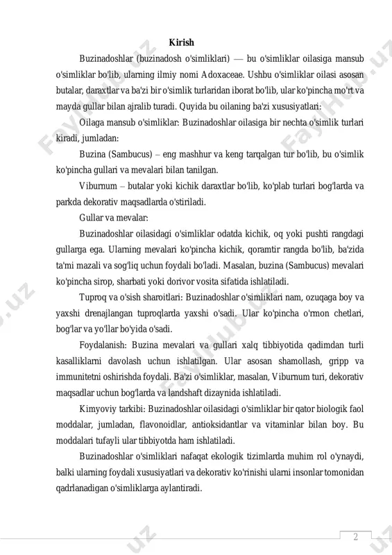pincha o'rmon chetlari, bog'lar va yo'llar bo'yida o'sadi. foydalanish: buzina mevalari va gullari xalq tibbiyotida qadimdan turli kasalliklarni davolash uchun ishlatilgan. ular asosan shamollash, gripp va immunitetni oshirishda foydali. ba'zi o'simliklar, masalan, viburnum turi, dekorativ maqsadlar uchun bog'larda va landshaft dizaynida ishlatiladi. kimyoviy tarkibi: buzinadoshlar oilasidagi o'simliklar bir qator biologik faol moddalar, jumladan, flavonoidlar, antioksidantlar va vitaminlar bilan boy. bu moddalari tufayli ular tibbiyotda ham ishlatiladi. buzinadoshlar o'simliklari nafaqat ekologik tizimlarda muhim rol o'ynaydi, balki ularning foydali xususiyatlari va dekorativ ko'rinishi ularni insonlar tomonidan qadrlanadigan o'simliklarga aylantiradi. 3 mavzuning dolzarbligi. buzinadoshlar o'simliklari ekologik muvozanatni saqlashda, tibbiyotda va agrar sohada katta ahamiyatga ega. ularning biologik xususiyatlari va foydaliligini hisobga olgan holda, bugungi kunda bu o'simliklarning o'sishi va ko'payishining dolzarbligi ortib bormoqda. ushbu o'simliklar nafaqat odamlarning salomatligini yaxshilashda yordam beradi, balki tabiiy landshaftlarda ham muhim rol o'ynaydi. birinchidan, buzina va viburnum kabi turlar xalq tabobatida uzoq vaqtdan beri turli kasalliklarni davolashda ishlatiladi. …