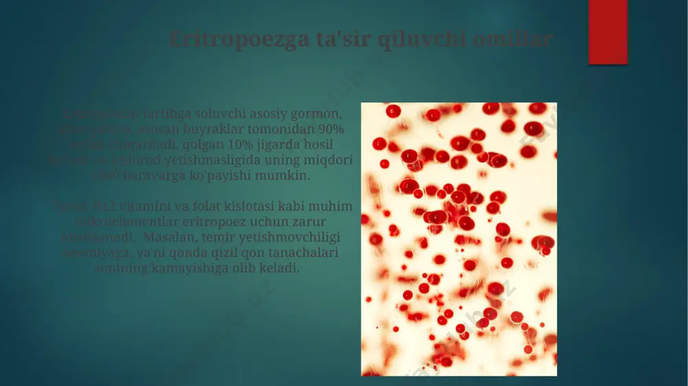 eritropoezga ta'sir etuvchi omillar - Page 4