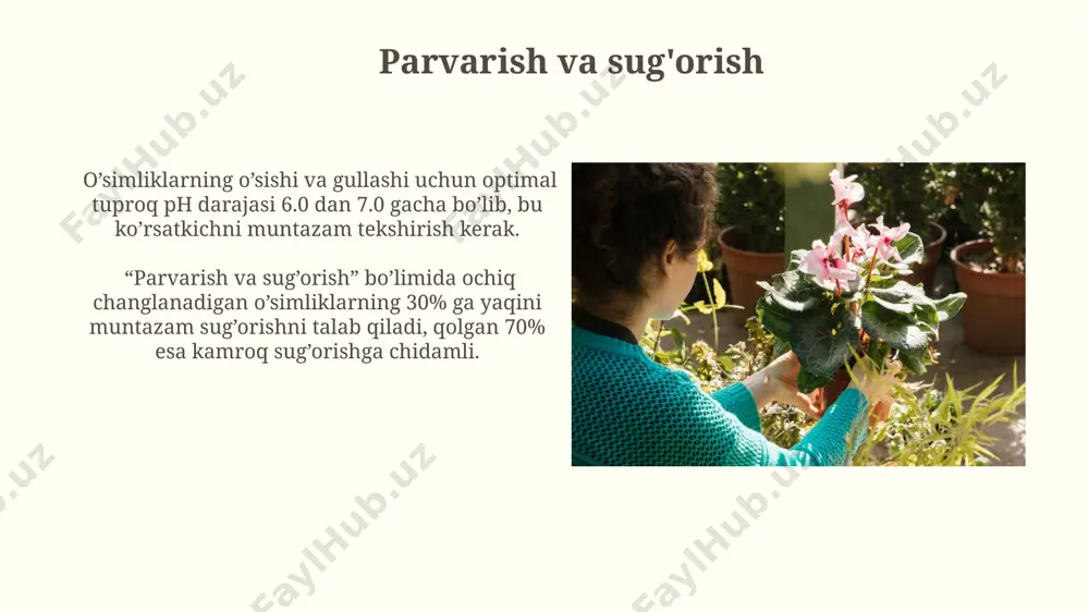 rug' hosil qilib, o'z xususiyatlarini saqlab qoladi. ochiq changlanadigan ko'p yillik o'simliklar, masalan, lavanda yoki efir moyi o'simliklari, bir necha yil davomida gullaydi va urug'idan osongina ko'paytiriladi. ekologik ahamiyati ochiq changlanadigan o'simliklarning 30% dan ortig'i hasharotlar, jumladan, asalarilar va kapalaklar uchun muhim oziq-ovqat manbai hisoblanadi, bu esa bioxilma-xillikni saqlashga yordam beradi. ochiq changlanadigan manzarali o'simliklar havo sifatini yaxshilaydi, chunki ular co2 ni yutadi va kislorod ajratadi, bu esa shahar atrof-muhitini yaxshilashga yordam beradi. ochiq changlanadigan o'simliklarning afzalliklari ochiq changlanadigan o'simliklarning tabiiy go'zalligi va noyob xususiyatlari, bog' va manzarali dizayn uchun 20 dan ortiq noyob navlarni taklif etadi. ushbu o'simliklarning genetik xilma-xilligi yuqori bo'lib, kasalliklarga va zararkunandalarga chidamlilikni oshiradi, ya'ni kamroq kimyoviy vositalar talab etiladi. e'tiboringiz uchun rahmat @taqdimot_robot image2.jpg image3.jpg image4.jpg image5.jpg image6.jpg image7.jpg image8.jpg image9.jpg image10.jpg image11.jpg image12.jpg image13.jpg