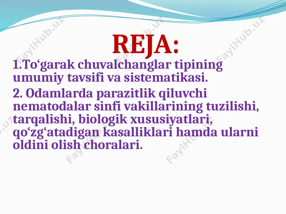 osiy qismini tashkil etadi. nematodalar sinfi vakillarining umumiy belgi-xususiyatlar: tanasi duksimon, ya'ni oldingi va keyingi uchi ingichkalashgan, ko‘ndalang kesimi to‘garak shaklda, tanasining oldingi uchida og‘iz teshigi, keyingi uchiga yaqin joyda esa anal teshigi joylashgan. tanasining anal teshigidan keyingi qismi dumni hosil qiladi, tananing anal teshigi joylashgan tomoni qorin deb ataladi, jinsiy va ayirish sistemasi teshiklari ham ana shu qorin tomondan tashqariga ochiladi. nematodalar sinfi 2 ta kenja sinfga bo‘linadi. adenoforalar (adenophorea) kenja sinfi. setsernentlar (secernentea) kenja sinfi. adenoforalar (secernentea) kenja sinfi vakillari, asosan dengiz, chuchuk suv, ba`zan tuproqda erkin hayot kechiradi. ko’pchilik turlari faqat kislorod yetarli bo’lgan sharoitda yashaydi. kutikulasi o’tkazuvchan bo’lganidan nematodani zararli moddalar tasiridan to’liq himoya qilaolmaydi. setsernentlar (secernentea) kenja sinfi vakillari asosan, o’simliklarda, hayvonlarda va odamlarda parazitlik qiladigan turlarni o’z ichiga oladi. odam askaridasi (ascaris lumbricoides). yer yuzida deyarli barcha mamlakatlarda tarqalgan. ayrim mamlakatlarda, masalan, yaponiyada aholining deyarli hammasi askarida bilan zararlangan. chunki yaponiyada qishloq xo‘jaligida odam …