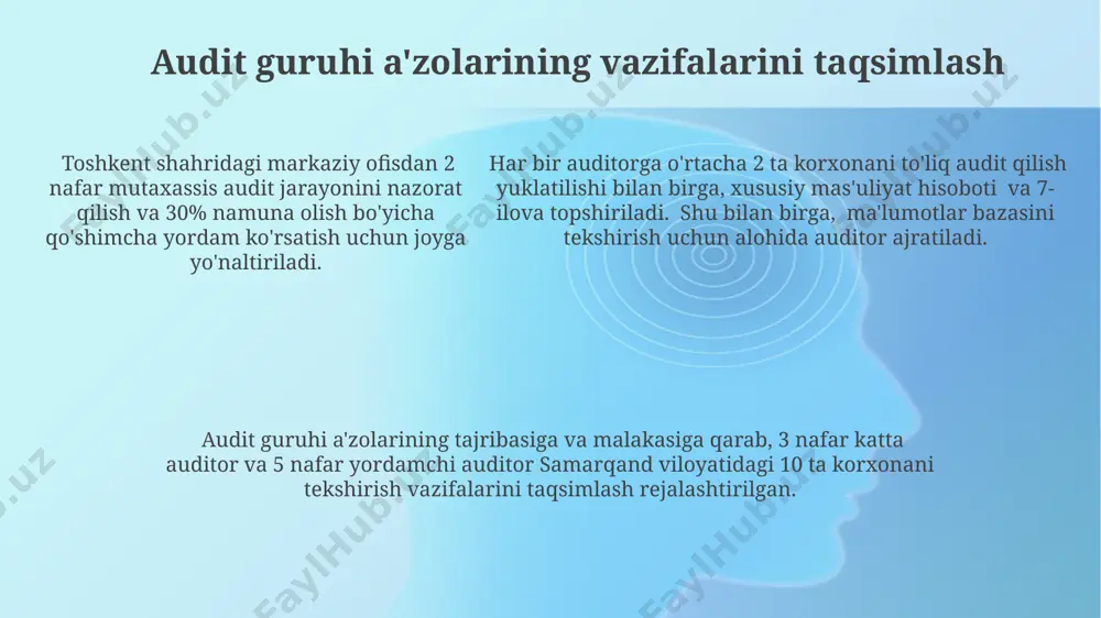 audit umumiy rejasini tayyorlash hususiyatlari - Page 5