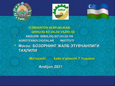 bozorni jalb etuvchanligi tahlili. — PPT