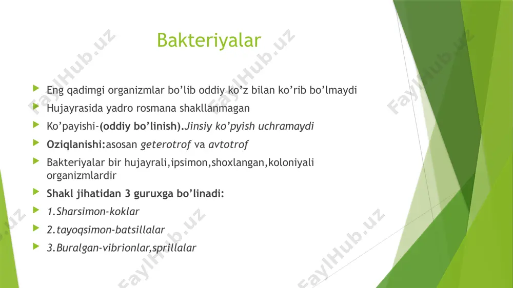 prokariot hujayralar - Page 5