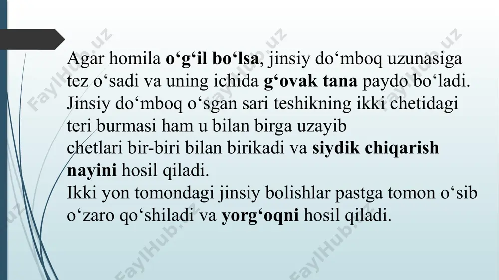 uts/slidelayout4.xml ppt/slidelayouts/slidelayout3.xml ppt/slidelayouts/slidelayout2.xml ppt/slidelayouts/slidelayout1.xml ppt/slidelayouts/slidelayout5.xml ppt/slidelayouts/slidelayout6.xml ppt/slidelayouts/slidelayout7.xml ppt/slidelayouts/slidelayout11.xml ppt/slidelayouts/slidelayout10.xml ppt/slidelayouts/slidelayout9.xml ppt/slidelayouts/slidelayout8.xml ppt/slidelayouts/slidelayout27.xml ppt/slidelayouts/_rels/slidelayout7.xml.rels ppt/slidelayouts/_rels/slidelayout1.xml.rels ppt/slidelayouts/_rels/slidelayout2.xml.rels ppt/slidelayouts/_rels/slidelayout3.xml.rels ppt/slidelayouts/_rels/slidelayout4.xml.rels ppt/slidelayouts/_rels/slidelayout5.xml.rels ppt/slidemasters/_rels/slidemaster1.xml.rels ppt/media/image17.png ppt/theme/theme2.xml ppt/media/image85.png ppt/media/image88.png docprops/thumbnail.jpeg ppt/theme/_rels/theme2.xml.rels ppt/theme/theme1.xml ppt/media/image1.jpeg ppt/media/image60.png ppt/media/image69.png ppt/media/image67.png ppt/media/image66.png ppt/media/image50.png ppt/media/image33.png ppt/viewprops.xml ppt/presprops.xml ppt/tablestyles.xml docprops/core.xml docprops/app.xml ppt/media/image10.png ppt/media/image11.png ppt/media/image12.png ppt/media/image13.png ppt/media/image14.png ppt/media/image15.png ppt/media/image16.png ppt/media/image18.png ppt/media/image19.png ppt/media/image2.png ppt/media/image20.png ppt/media/image21.png ppt/media/image22.png ppt/media/image23.png ppt/media/image24.png ppt/media/image25.png ppt/media/image26.png ppt/media/image27.png ppt/media/image28.png ppt/media/image29.png ppt/media/image3.png ppt/media/image30.png ppt/media/image31.png ppt/media/image32.png ppt/media/image34.png ppt/media/image35.png ppt/media/image36.png ppt/media/image37.png ppt/media/image38.png ppt/media/image39.png ppt/media/image4.png ppt/media/image40.png ppt/media/image41.png ppt/media/image42.png ppt/media/image43.png ppt/media/image44.png ppt/media/image45.png ppt/media/image46.png ppt/media/image47.png ppt/media/image48.png p