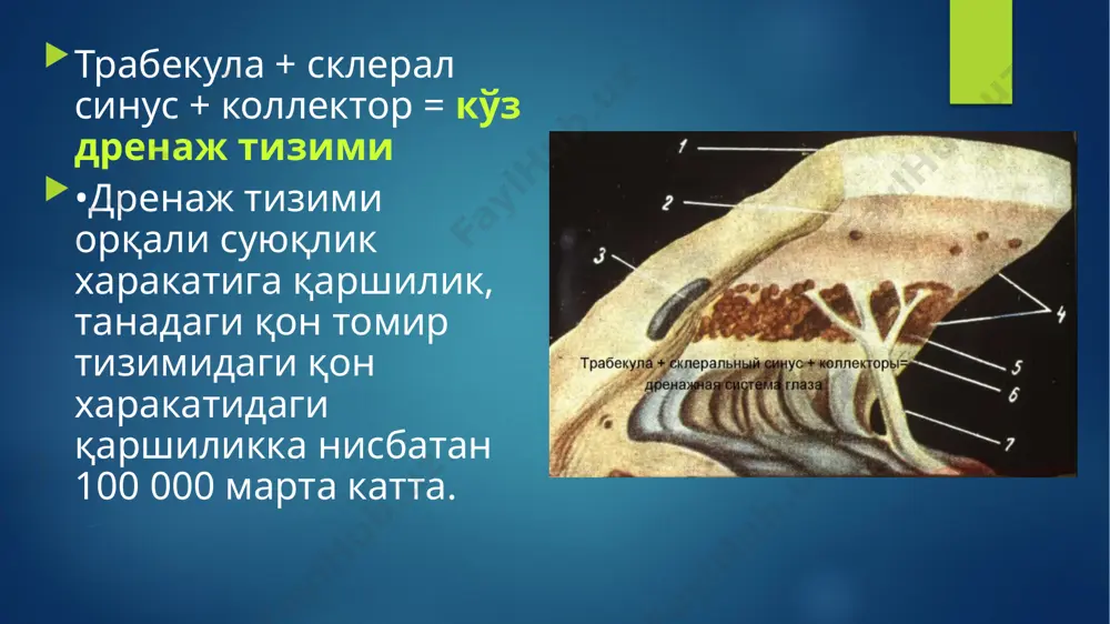 ppt/slides/slide68.xml ppt/media/image75.png ppt/media/image76.png ppt/media/image77.png ppt/slides/slide69.xml ppt/media/image81.png ppt/media/image78.png ppt/media/image79.png ppt/media/image80.png ppt/slides/slide70.xml ppt/slides/slide71.xml ppt/slides/slide72.xml ppt/slides/slide73.xml ppt/slides/slide74.xml ppt/slides/slide75.xml ppt/media/image82.png ppt/tablestyles.xml ppt/presprops.xml ppt/viewprops.xml docprops/custom.xml docprops/app.xml docprops/core.xml _rels/.rels ppt/_rels/presentation.xml.rels ppt/slidemasters/_rels/slidemaster1.xml.rels ppt/slidelayouts/_rels/slidelayout1.xml.rels ppt/slidelayouts/_rels/slidelayout2.xml.rels ppt/slidelayouts/_rels/slidelayout3.xml.rels ppt/slidelayouts/_rels/slidelayout4.xml.rels ppt/slidelayouts/_rels/slidelayout5.xml.rels ppt/slidelayouts/_rels/slidelayout6.xml.rels ppt/slidelayouts/_rels/slidelayout7.xml.rels ppt/slidelayouts/_rels/slidelayout8.xml.rels ppt/slidelayouts/_rels/slidelayout9.xml.rels ppt/slidelayouts/_rels/slidelayout10.xml.rels ppt/slidelayouts/_rels/slidelayout11.xml.rels ppt/slidelayouts/_rels/slidelayout12.xml.rels ppt/slidelayouts/_rels/slidelayout13.xml.rels ppt/slidelayouts/_rels/slidelayout14.xml.rels ppt/slidelayouts/_rels/slidelayout15.xml.rels ppt/slidelayouts/_rels/slidelayout16.xml.rels ppt/slidelayouts/_rels/slidelayout17.xml.rels ppt/slidelayouts/_rels/slidelayout18.xml.rels ppt/theme/_rels/theme1.xml.rels ppt/notesmasters/_rels/notesmaster1.xml.rels ppt/slides/_rels/slide1.xml.rels ppt/slides/_rels/slide2.xml.rels ppt/slides/_rels/slide3.xml.rels ppt/slides/_rels/slide4.xml.rels ppt/slides/_rels/slide5.xml.rels ppt/slides/_rels/slide6.xml.rels ppt/slides/_rels/slide7.xml.rels ppt/slides/_rels/slide8.xml.rels ppt/slides/_rels/slide9.xml.rels ppt/slides/_rels/slide10.xml.rels ppt/slides/_rels/slide11.xml.rels ppt/slides/_rels/slide12.xml.rels ppt/slides/_rels/slide13.xml.rels ppt/slides/_rels/slide14.xml.rels ppt/slides/_rels/slide15.xml.rels ppt/slides/_rels/slide16.xml.rels ppt/slide