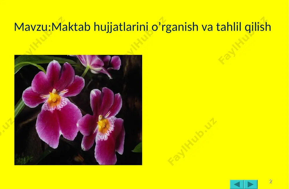 ag’batlantirish. * kuzatilgan dars jarayoniga talabalarning fikr mulohazalri. talabalar yuqoridagi talablar asosida darslarni qanday kuzatganliklari va tahlil qilganliklari haqida o’zaro bahs- munozara yuritadilar. 1-sinfga mos keladigan didaktik o’yinlardan namunalar keltiradilar, ularni o’tkazish mazmunini yozib beradilar. mavzuni yakunlash; 1) uyga vazifa; 1-sinf matematika darsiga ko’rgazmali qurollar tayyorlash. 2)talabalarni baholash va rag’batlantirish . * laboratoriya ishi №2. mavzu: 1-sinf rahbarlarining hujjatlarini o’rganish va ulardan andoza olish. mavzuning maqsadi: 1. boshlang’ich sinf o’qituvchilarini o’qitadigan fanlari bo’yicha ish hujjatlarini o’rganish. 2. sinf rahbarlik hujjatlarini o’rganish. kerakli jihozlar: ish hujjatlaridan namunalar. * mashg’ulotni mazmuni. boshlang’ich sinf o’qituvchilari bir nechta fannio’zlari o’qitganliklari sababli ularda shu fanlarning jumladan; ona tili o’qish va matematika fanlariniish hujjatlari bo’ladi. ish hujjatlariga quyidagilar kiradi; 1) fanning dasturi (dtstalabi asosida) 2) fanningbir yillikish rejasi. 3) dars konspektlari (ishlanmalari). 4) o’zaro dars tahlillari daftari. 5) o’z ustida ishlash daftari a)metodika bo’yicha; b) siyosiy bilimini oshirish 6) iqtidorli o’quvchilar bilan ishlash daftari. 7) past …