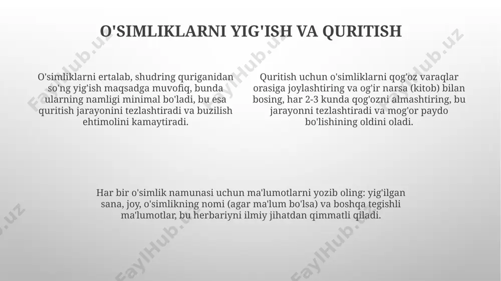 gerbariy tayyorlash va tayyorlash usullari - Page 4