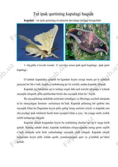 tut ipak qurtining kapalagi haqida — DOCX