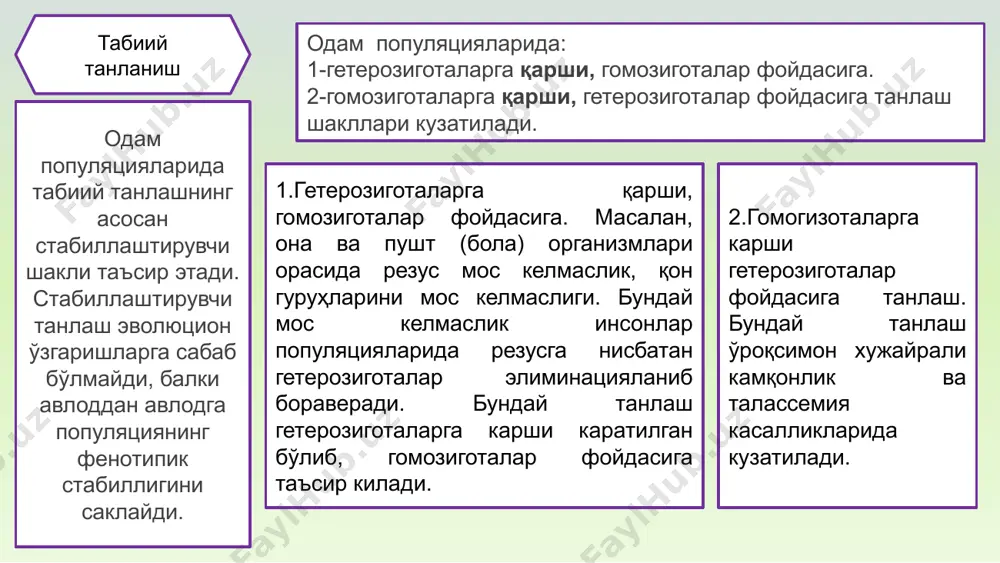 ларга қарши қўя олиш хусусиятини йўқолиши, нарсаларни маҳкам ушлаб олиш хусусиятини йўқолиши ва юриш вақтида амортизация бўлиб хизмат қиладиган, оёқ кафт юзасида гумбазни ҳосил бўлди; - умуртқа поғонасини ўзгариши- s – cимон эгилмаларни пайдо бўлиши, вертикал ҳолатда туришни ва пластик ҳаракатланишни таъминлади; - мия қутисини ўзгариши-юз қисмини кичрайиши ва мия қисмини катталашиши, катта энса тешигини олдинга силжишига, сўрғичсимон ўсимтани катталашишига ва бўйин мускулллари бирикадиган энса рельефини силлиқланишига олиб келди; - олдинги оёқларини дифференциацияси, қўлни муҳим ишларни бажарадиган меҳнат аъзосига айланишига олиб келди. одамни тана массасини 7% дан 9% гача бўлгани қўлга, оёқларига эса 32-38 % и, одамсимон маймунларда эса олдинги оёқларига 14-16 %, орқа оёқларига 18 % игина тўғри келади; -маъноли нутқни ривожланиши, пастки жағида иягини бўртиб чиқишига олиб келди. рудимент органларни билиш нафақат назарий, балким шифокор учун амалий аҳамиятга ҳам эгадир. гап шундаки, бу органлар катта вариабелликка эга: рудимент органни тўлиқ бўлмаслигидан то тўлиқ ривожланишгача. масалан, одам аппендикси ўлчами …