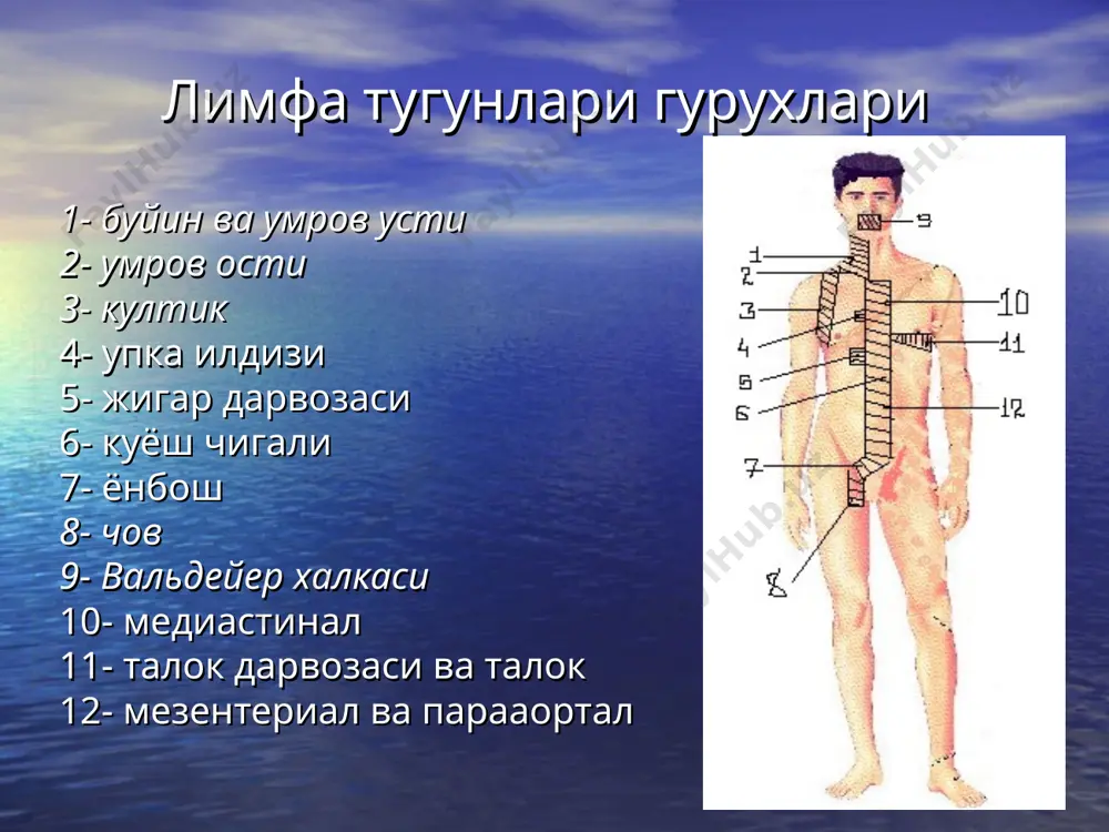 алакали врачлар тегишли асбоб-ускунали марказларда олиб борадилар. даволаш ва касаллик окибати жараён боскичи ва хужайралар типига боглик. i ва ii боскичли беморлар нур терапияси ёрдамида, iii ва iv боскичларда химиотерапия ёрдамида даволанадилар. бирок даволаш схемалари турлича ва радио-нур терапияси биргаликда кулланилиши мумкин. * касаллик окибати жараён гистологик типи ва боскичига боглик; 80%дан ортик холатларда комбинирлашган химиотерапия кулллаш натижасида паст ва уртача дифференциядаги лимфомаларда тулик ремиссияга эришиш мумкин. * лимфомалар асоратлари инфекциялар — одатда шартли-патоген микрофлора. юкори ковак вена, нафас йуллари, кизилунгач, пешоб ажратиш йуллари ва меъда – ичак тракти обструкцияси. мнс, упка, тери ва бошка аъзолар инфильтрацияси. анемия, лейкопения, лейкоцитоз, тромбоцитопения ёки тромбоцитоз. метаболик бузилишлар: гиперкальциемия, гиперурикемия. радиацион токсикликнинг унга сезгир аъзоларга таъсири. иккиламчи малигнизация. *