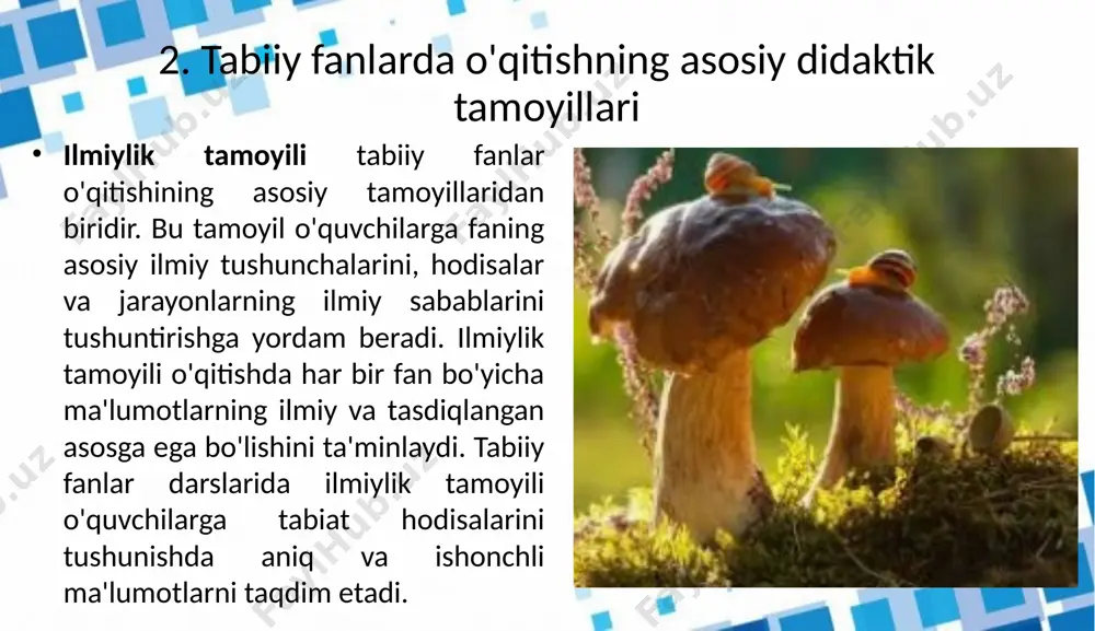 tabiiy fanlar darsliklari - Page 4