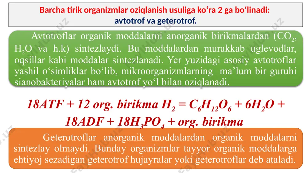 da 1 mol sintezlansa, xloroplastda 30 mol. jami 31 mol) 2356 : 31 = 76 atf anaerob aerob 38 _____________ 2 atf ________________36 atf 76______________x = 4 _________________ y = 72 x 40 = 2880 kj izoh: masala shartiga yaxshilab etibor bersak, bizdan glukoza parchalanishining ikkinchi bosqichida sintezlangan atf da to‘plangan energiya miqdorini so‘rayapti. 2 - masala energiya almashinuv jarayonida 190 molekula atf va umumiy 14175 kj energiya hosil bo‘lgan bo‘lsa, dastlabki bosqichidagi issiqlik tarzida tarqalgan energiya miqdorini toping. to‘liq va to‘liqsiz parchalanishda hosil bo‘ladigan e qanday taqsimlanishini va qancha atf hosil bo‘lganligini yozamiz: to‘liqsiz→200 kj to‘liq →2800 kj< bu masalani ikki xil usulda ishlash mumkin: 1 – usul: glukozaning molini aniqlaymiz: n = = 5 mol glukoza. 1 mol glukoza _________2800 kj e chiqsa 5 mol glukoza _________x x = 14 000 kj e chiqadi. 14 175 – 14 000 = 175 kj e 1 – bosqichda chiqadi 2 …