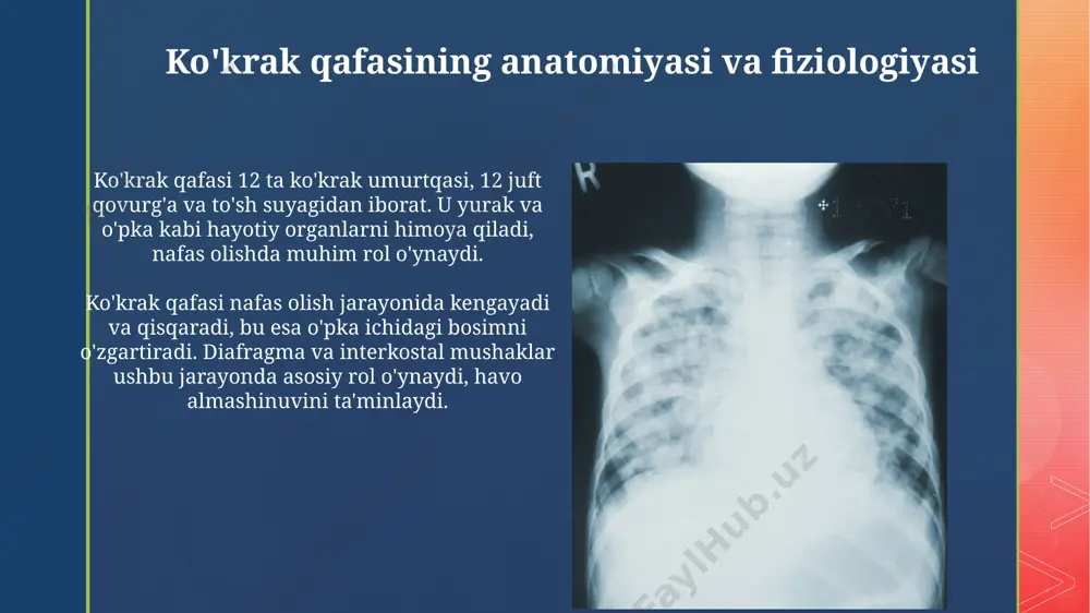 koʻkrak qafasi jangovar shikastlanishlari - Page 5