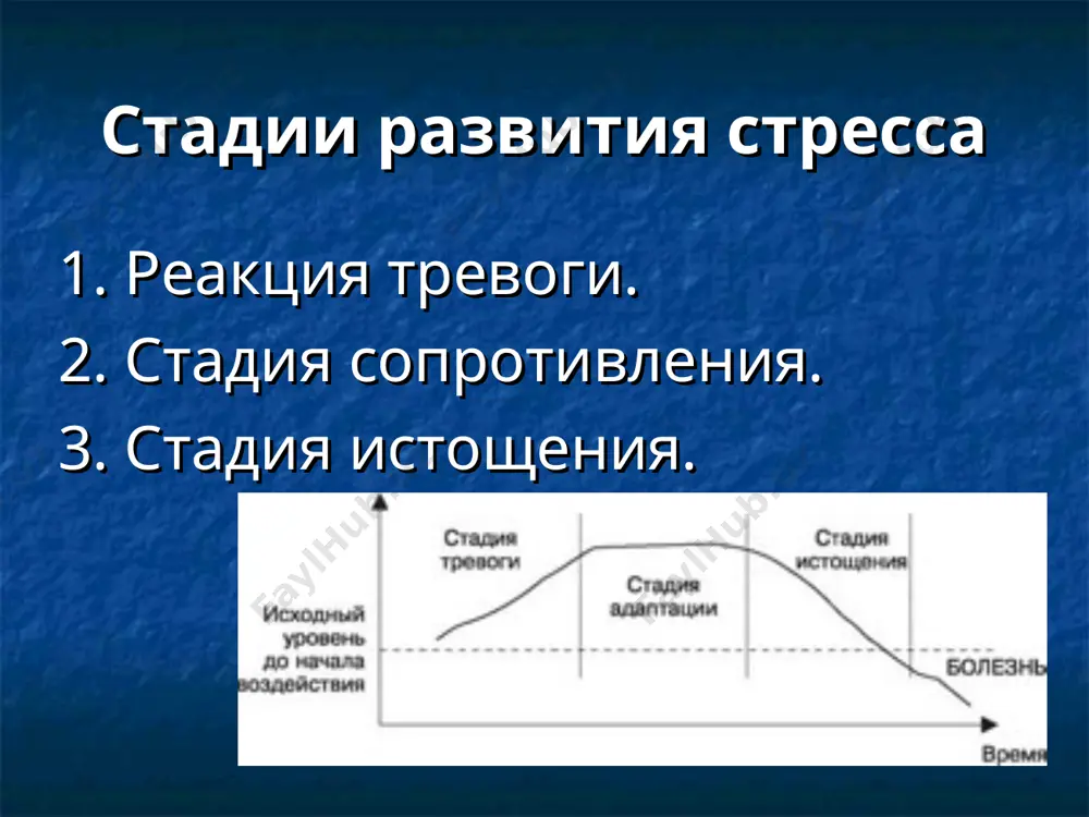 и времени; усугубление вредных привычек; трудоголизм, полное погружение в рабочие проблемы в ущерб отдыху и личной жизни. 4. интеллектуальные симптомы: проблемы с концентрацией внимания; ухудшение памяти; постоянное и навязчивое возвращение к одной и той же мысли; трудности в принятии решений. чем больше симптомов вы обнаружите в себе, тем ближе вы к точке неконтролируемого стресса. самостоятельной диагностики недостаточно, если вы заметили в себе некоторые из симптомов, обязательно обратитесь к врачу. так вы сможете остановить стресс на ранней стадии и предотвратить его переход в хроническое состояние, а также развитие более серьезных заболеваний. плр. лекция 8. стресс-менеджмент цихончик н.в., 2013 * стадии развития стресса 1. реакция тревоги. 2. стадия сопротивления. 3. стадия истощения. до сих пор учёные используют концепцию канадского физиолога и выделяют три стадии стресса по селье: 1. реакция тревоги. 2. стадия сопротивления. 3. стадия истощения. продолжительность каждой фазы развития стресса индивидуальна первая фаза возникновения стресса характеризуется мобилизацией организма. нарастает напряжённость. у …