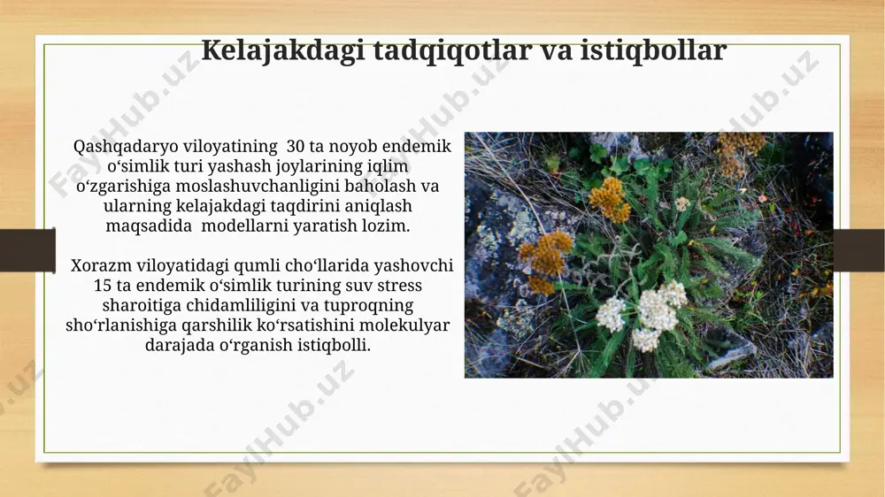 oʻzbekiston florasi endemlari - Page 4
