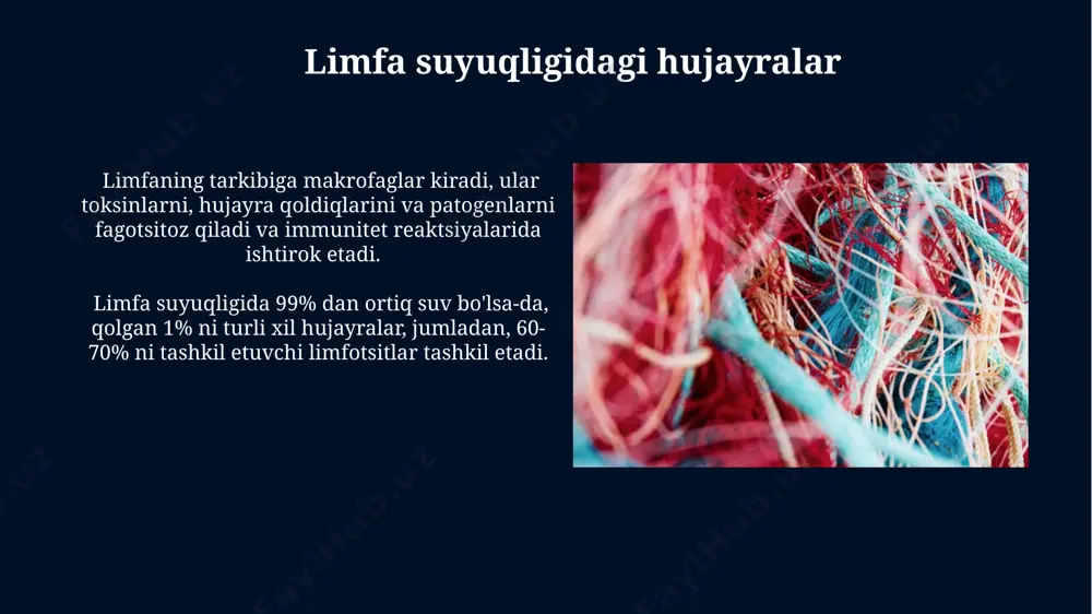 limfaning hosil bo‘lishi, tarkibi va vazifalari - Page 5