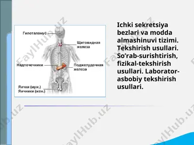 ichki sekretsiya bezlari va modda almashinuvi tizimi. tekshirish usullari. — PPT