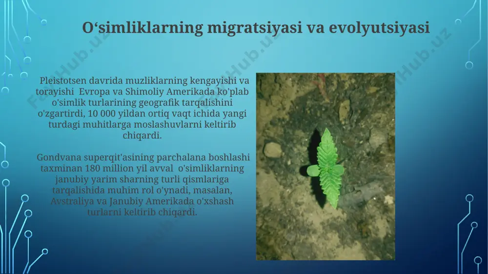 o‘simliklar geografiyasi asoslari - Page 4