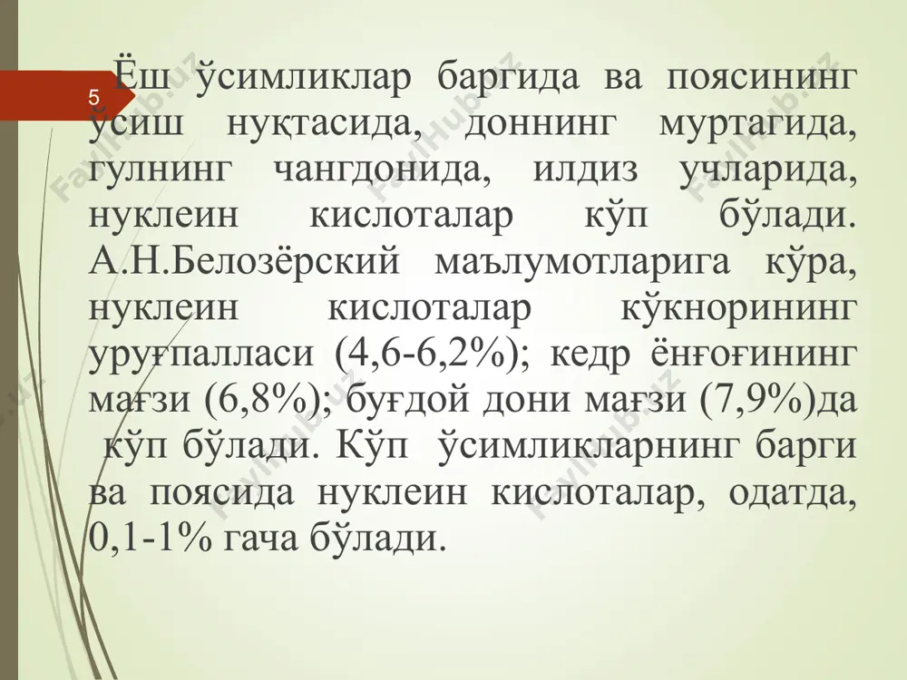 нинг биологик синтезида муҳим аҳамиятга эга. * рибонуклеин кислоталар ҳужайранинг ҳамма қисмида учрайди. лекин уларнинг асосий қисми рибосомаларда тўпланган. ҳужайра таркибида учрайдиган рнклар молекуласининг массаси, химиявий тузилиши ва функциясига қараб бир-биридан фарқ қилади. ҳужайрада асосан уч хил рнк учрайди. * 1. ҳужайрадаги рнкнинг 80 фоизга яқинини рибосома рнк (р-рнк) ташкил қилади. рибосома рнк ҳужайранинг махсус органоиди - рибосомаларда тўпланган. р-рнкнинг молекуляр массаси анча катта бўлиб, 1,5-2 млн га тенг ва 4000-6000 мононуклеотид қолдиғидан ташкил топган. р-рнк ҳужайрада оқсиллар билан бириккан ҳолда учрайди. * 2. рнкнинг иккинчи тури эрувчан рнк (s-рнк) ёки транспорт қилувчи рнк (т-рнк) деб аталади. бу умумий рнкнинг 15 фоизга яқинини ташкил қилади. эрувчан рнк айрим аминокислотларни оқсил синтез қиладиган жойга ташиш вазифасини бажаради. ҳар бир аминокислотанинг ўзига хос т-рнкси бор. т-рнкларнинг молекуляр массаси анча кичик (25000-35000 атрофида) бўлиб, улар 60-90 мононуклеотид қолдиғидан ташкил топган. * 3. рнкнинг учинчи тури информацион рнк (и-рнк) ёки воситачи рнк (т-рнк) дейилади. …