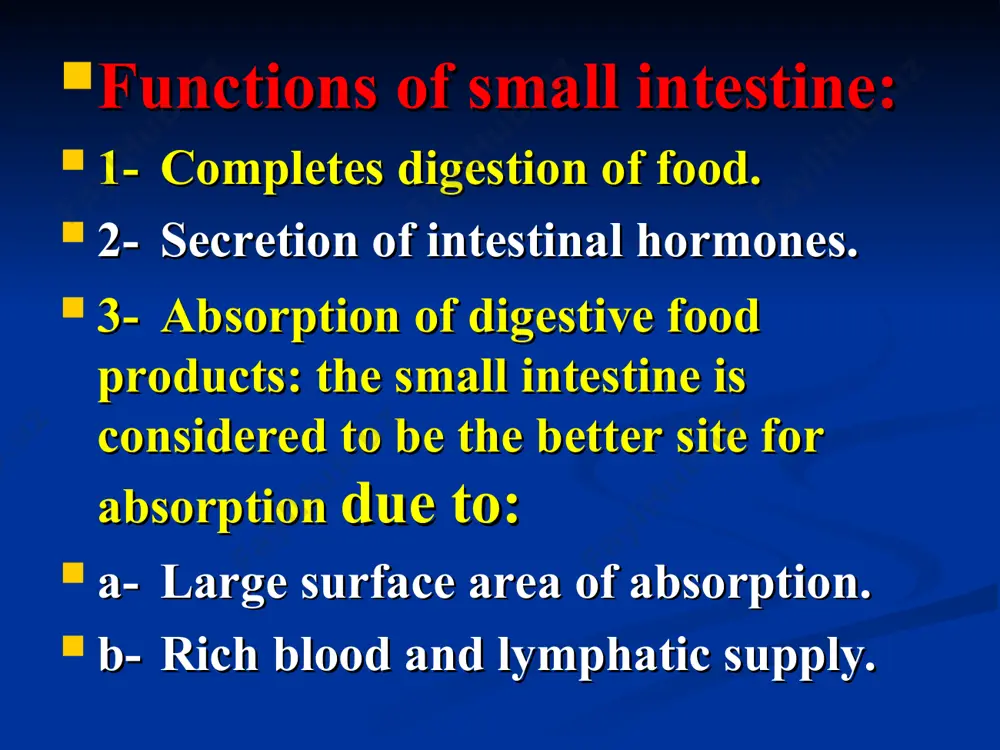 ion): the circular muscle contracts at several sites, thus dividing a portion of the small intestine into equal segments. a few seconds later, contractions appear in the middle of each segment. the segmentation contractions are myogenic in nature and controlled by the myogenic basic electric rhythm (ber) of the intestine. functions of mixing movements: a- mixing the intestinal contents with digestive secretion. b- increases its exposure to the mucosal surface. 2- propulsive movements (peristalsis): the peristaltic waves move the intestinal contents towards the large intestine. the peristaltic movements are neurogenic. they depend on the integrity of the enteric nervous system. the peristaltic movements are increased after meals due to: 1- distension of the intestine. 2- gastroenteric reflex. 3- released hormones. control of intestinal movements: 1- nervous control: a- the intrinsic nerve plexuses: these are essential for peristalsis and accentuate the segmentation movements. b- the extrinsic nerve supply: sympathetic and vagal …