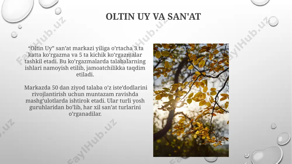 oltin kuz - Page 5