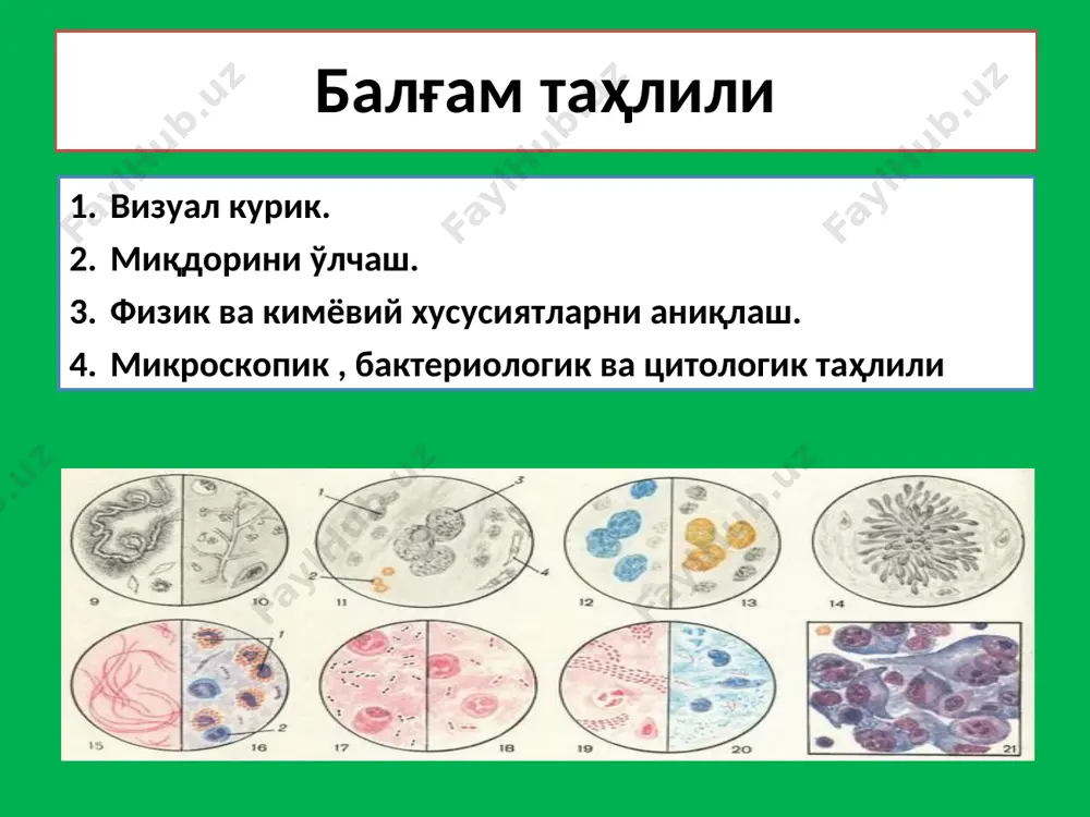 балғам таҳлили - Page 3