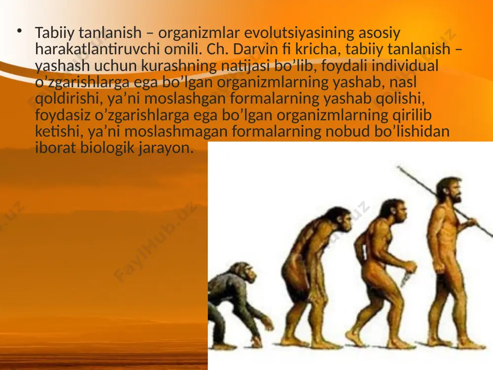 tabiiy tanlanish va uning turlari. 10 - sinf - Page 4