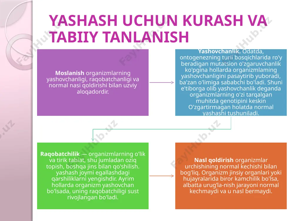 aydigan toshbaqa, kaltakesak, ilonlar qum rangida, shimohy o'lka hayvonlari - ayiq, kuropatka tulkilar, oq rangda, beshiktebratar, ninachilar yashil barglar orasida yashagani, karam kapalagi qurti uning barglan bilan oziqlangani sababli yashil rangda boladi. agar muhit rangi fasllarga qarab o'zgarsa, u holda. hayvonlar rangi ham o'zgaruvchan bo'ladi. chunonchi yevropaning o’rta mintaqasida yashovchi tulki, tovushqon, kuropatka, gornostay qishda bir yozda ikkinchi xil rangda bo'ladi. maskirovka. ayrim hollarda hayvonning tana shakli va rangi atrofidagi barg, novda, kurtak, o'simliklarga o'xshash, boladi. chunonchi chupchik degan hasharot rangi va shakli ingichia novdani, nina baliq suy о tlarini, dengiz paxmoq otchasi deb ataluvchi baliq suv o'simliklarini eslatadi. ayrim baqachanoqlar daraxt kurtaklariga o'xshashdir.malayada tarqalgan kallima kapalagining qanotlari shakli, naqsh va tomirlari bargga o'xshash bo'ladi. ogohiantiruvchi rang. ba'zi hayvonlarnmg tashqi ko’rinishi rang-barang bo'lib, ko’zga yaqqol tashlanadi. tilla qo’ng'izlar, tugmacha qo'ng'izlar, qovoq ari tukli ari, ko'pgina kapalaklar. «do'st-dushman» ko’ziga yaqqol tashlanib. o'z ranglan bilan ularni «ogohlantiradilar», odatda bunday ogohlantiruvchi rangga ega …