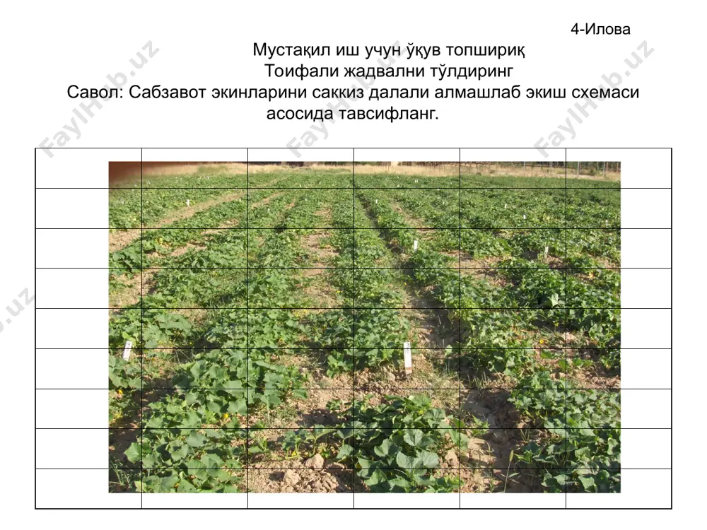 тирувчи мослама ўрнатиб фойдаланиш ҳам мумкин. бегона ўтлар билан ифлосланган ерлар шудгор қилинганидан сўнг вкс-0,8 маркали агрегат ёрдамида ўтларнинг қолдиқларидан тозаланади. суғориладиган деҳқончиликда ерни узун базисли агрегатлар ёрдамида текислаш ҳам ерга бериладиган асосий ишловлар қаторига киради. ерни текислашда узун базисли пв-8, п-4, п-0,8 ва па-3 каби механизмлардан фойдаланилади. ерга асосий ишлов бериш. 13-слайд. икки ярусли плуг пд-4-35; 1-орқа ғилдирак; 2-орқа ғилдарак механизми; 3-пастки корпус; 4-рама; 5-тортгич қовурға; 6- олдинги ғилдирак; 7-юқориги корпус; 8- осма тиргак; 9- бармоқ; 10-пасайтгич. ерни ишлаш ёзда такрорий экинлар экиш учун барча ишлар зудлик билан бажарилишини талаб қилади. сабаби кечки экинларни экиш муддати кечиб кетади. далани ўсимлик қолдиқларидан тозаланиб, шудгорлашдан олдин енгил суғориш (ғаламуз сув) ўтказилади ва бегона ўтларни йўқотилади. кузги экинлар (пиёз, саримсоқ) экилишидан олдин ерлар эртаги экинлар қолдиқларидан тозаланиб, тупроқ намлиги етарли бўлса 28-30 см чуқурликда ағдариб ҳайдалади ва бир йўла бороналаниб текисланади. 14-слайд. такрорий экинларга ерни экиш учун тайёрлаш. шўрланган ерларга сабзавот экиладиган …