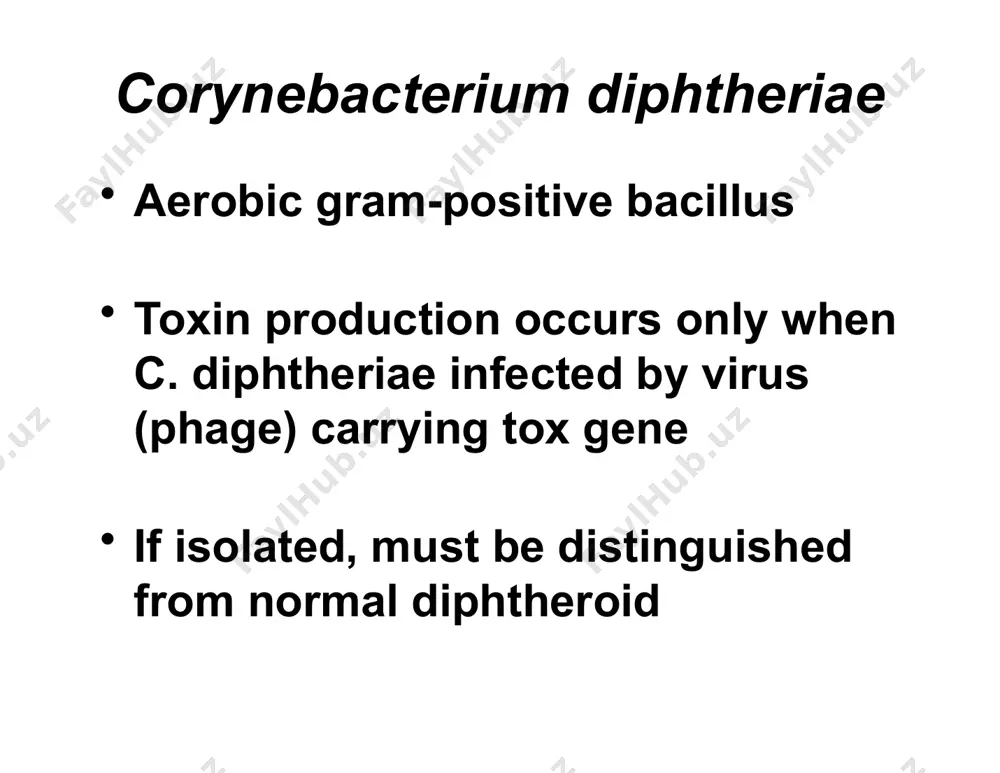diphtheria and diphtheria toxoid - Page 3
