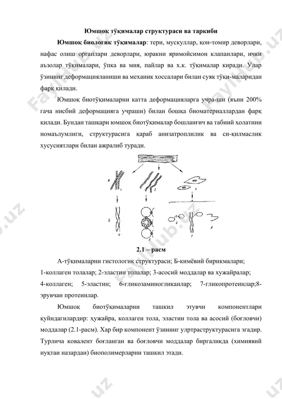 чи тўқималарнинг асосий эле-ментлари бўлиб, турлича кўринишдаги структураларга эгадир. коллагеннинг муҳим томони шуки, яъни у полипептид занжирлардан тортиб, то толалар боғламигача спиралp ҳосил қилади. бундай структура чўзилишда элементларнинг бир-бирига нисбатан силжишига тўсқинлик қилади. коллагенни элементар ташкил этувчиси тропоколлаген, боши ва думи орқали туташиб, коллаген фибриллаларини ҳосил қилади. уларнинг диаметри 20-40 нм. коллаген тола ва боғламлар жуда катта дефор-мацияларга учрамайди. бу ерда кучланиш ва деформация орасидаги боғланиш чизиқсиздир. коллаген толалар нисбатан юқори мустахкамликка эгадирлар, масалан, чўзилишда =50-100 мпа ва эластиклик модули е=1000 мпа бўлиши мумкин. деформация деформация 2.3-расм. эластин - эластомерларга ўхшаш гидрофоб табиатга эга, маълум оралиқларда бикр кимёвий боғланган амино-кислоталар занжиридан иборатдир. чўзилишда эластин структураси чизиқли ҳоссага эгадир. эластин структураси икки хил морфологик формада бўлиши мумкин - тола ва мембрана. эластин толалари, асосан, жуфт-жуфт ҳолда эшилган бўлиб, катта деформацияларга учрайди, яъни 200%гача, эластиклик модули эса е=0,6 мпа. асосий моддаларда коллаген толалар ҳужайра ва ҳужайра ичидаги моддалар билан қўшилиб кетган бўлади. …
