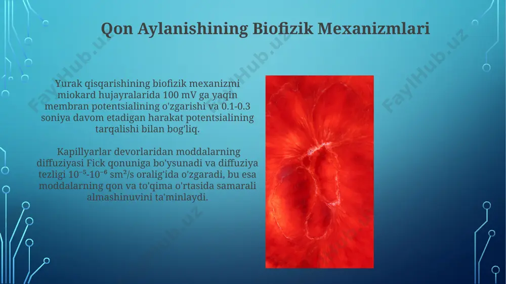 hastotasi va amplitudasi o'zgarishi, o'rtacha 72 urish/minut tezlikda bo'lib, uning mexanik ishi va energiya sarfini belgilaydi. qonning reologik xossalari qon plazmasining viskozitesi taxminan 1.2 spz bo'lib, eritrotsitlarning konsentratsiyasi (hematokrit) oshishi bilan qonning umumiy viskozitesi 3-4 barobarga ortadi. qonning reologik xossalari qon hujayralarining shakli, hajmi va konsentratsiyasi, shuningdek, plazmaning viskozitetiga bog'liq bo'lib, bu qon oqimiga ta'sir qiladi. e'tiboringiz uchun rahmat @taqdimot_robot image3.jpg image4.jpg image5.jpg image6.jpg image7.jpg image8.jpg image9.jpg image10.jpg image11.jpg image12.jpg image13.jpg image2.png