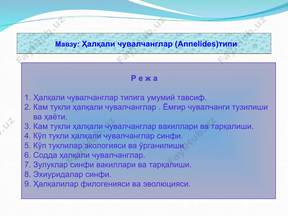 усти нерв тугуни; 4. ҳалқум нерв ҳалқаси; 5. қорин нерв тугунлари; 6. қизилўнгач; 7. иккиламчи тана бўшлиғи; 8. айириш органи (метанефридий); ёмғир чувалчангининг дум қисми тузилиши кутикула; 2.тери эпителийси; 3. ичак; 4. орқа ва қорин қон томирлари; 5. қорин нерв занжирининг оҳирги тугунлари; 6. анал тешиги. ёмғир чувалчанги танасининг кўндаланг кесими тузилиши овқат ҳазм қилиш системаси – узун найдан иборат бўлиб, олдинги учида оғиз тешиги жойлашган. оғиздан-ҳалқум бошланади. ҳалқум – қизилўнгачга, қизилўнгач охири кенгайиб жиғилдон ҳосил қилади. бу ерда озиқ намланади ва юмшайди. озиқ жиғилдондан мускулли “ошқозонча” га тушади, бу ерда эзилади, бундан сўнг ичакка тушади, ичакнинг охирги қисм орқа чиқарув тешиги аналь билан томомланади. нафас олиш системаси – махсус нафас олиш системаси йўқ тери орқали нафас олади. шилимшиқли тери тупроқ остида ҳаракатланиш ва кислородни ўзлаштиришга ёрдам беради. 1. оғиз; 2. ҳалқум; 3. қизилўнгач; 4. ошқозон; ўрта ичак. қон айланиш системаси – ёмғир чувалчанги – қон айланиш системаси бўлиши билан …