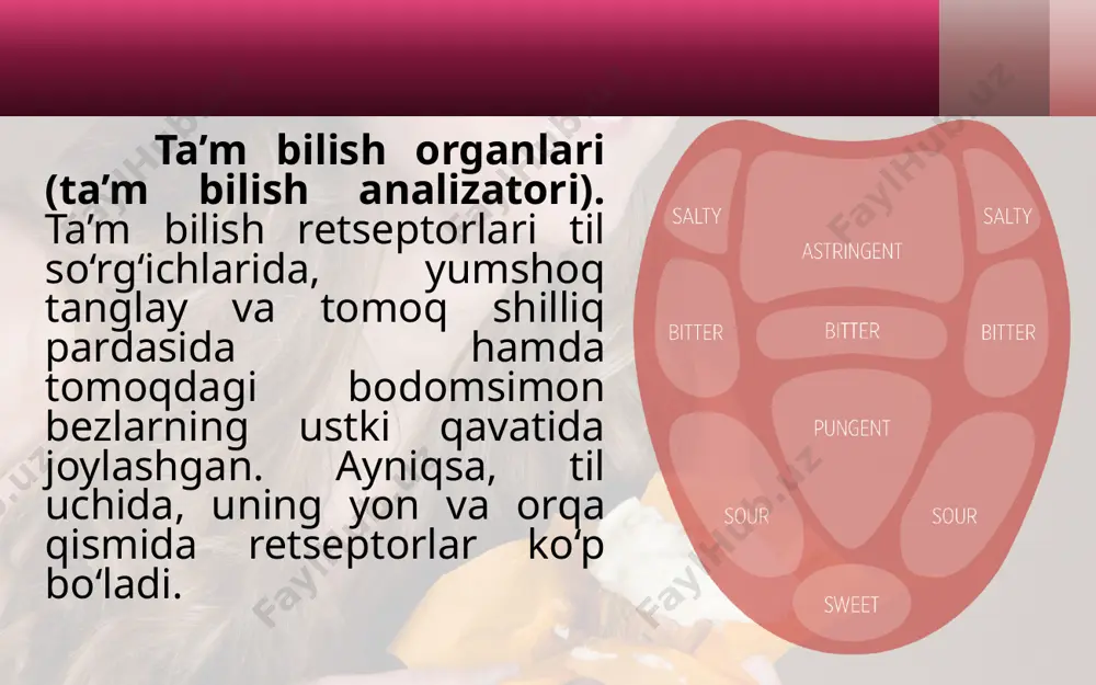 hidvata’mbilish organlari - Page 5