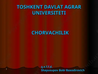 chorvachilik — PPT