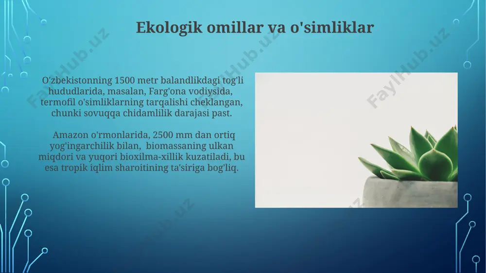 oʻsimliklar geografiyasi asoslari - Page 4