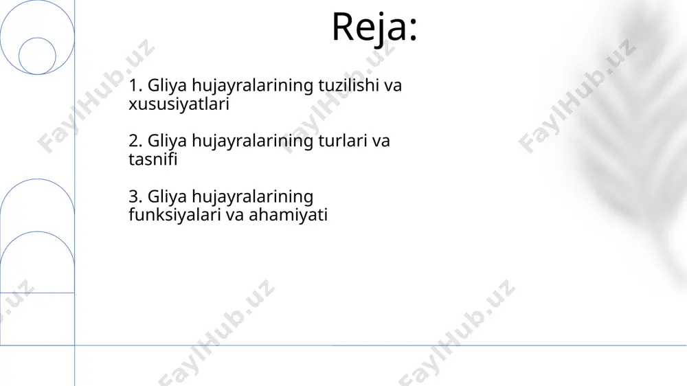 ishni kuchaytirishda ularning roli muhim hisoblanadi. gliya hujayralari, masalan, astrositlar, altsgeymer kasalligida 50% gacha miya to'qimalarining yo'qolishiga olib keluvchi neyronlarning o'limiga bevosita ta'sir ko'rsatishi mumkin, bu esa xotira va idrokning buzilishiga olib keladi. 5. gliya hujayralarining umumiy tavsifi gliya hujayralari, neyronlarga nisbatan 10 dan 50 martagacha ko'p bo'lib, miya va orqa miyaning taxminan 50% hajmini egallaydi, ularning asosiy funksiyasi neyronlarni qo'llab-quvvatlash va himoya qilishdan iborat. gliya hujayralarining 4 asosiy turi mavjud: astrotsitlar, oligodendrotsitlar, mikrogliya va ependimal hujayralar. ularning har biri o'ziga xos morfologiya va funksiyalarga ega bo'lib, markaziy nerv sistemasining turli hududlarida joylashgan. 6. gliya hujayralarining tadqiqotlari va kelajagi miyada 100 milliarddan ortiq neyronlar mavjud bo'lib, ularning har biri minglab gliya hujayralari bilan o'zaro ta'sirda bo'ladi, bu esa shveysariya olimlarining miya funksiyalarini chuqurroq tushunishga qaratilgan tadqiqotlarini kuchaytiradi. yaponiyadagi tadqiqotlar gliya hujayralarining neyrodegenerativ kasalliklar, masalan, altsgeymer kasalligida rolini aniqlashga qaratilgan bo'lib, 20 dan ortiq turdagi gliya hujayralari va ularning kasallik mexanizmlaridagi …