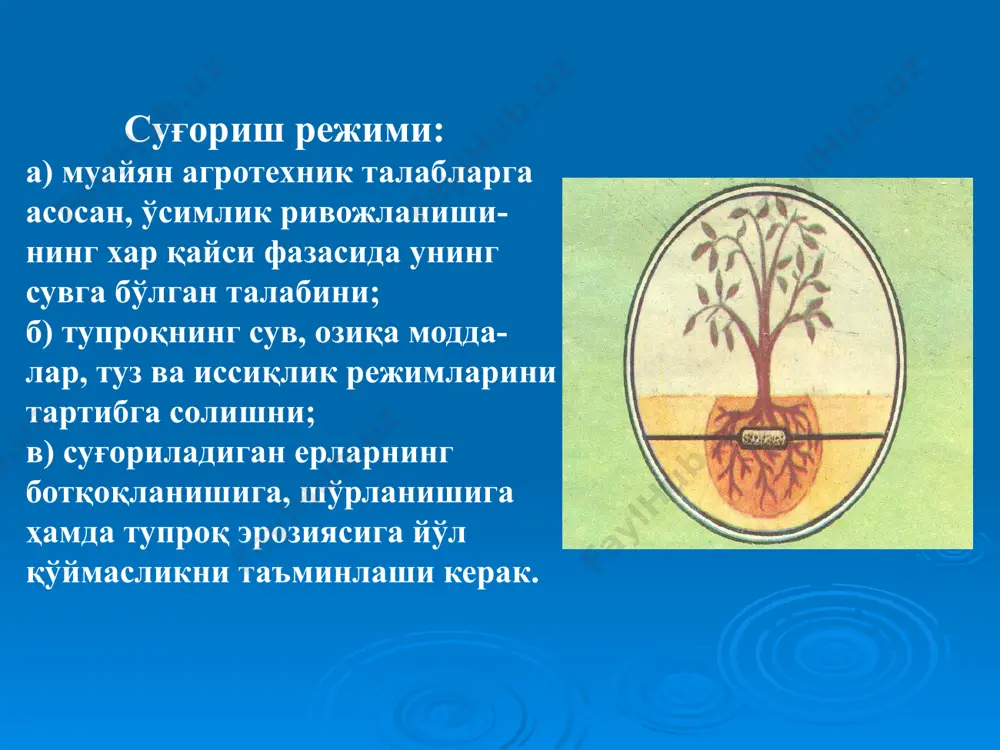 мелиорация асослари - Page 4