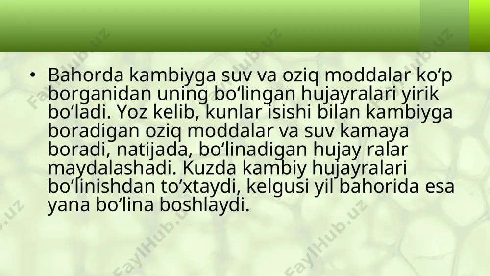poyaning eniga o'sishi. 5 - sinf - Page 5