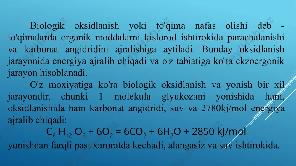kiruvchi fe+3 atomi hisoblanadi. bu nazariyaga ko'ra oksidlanish-qaytarilish jarayonlari elektron va protonlarni ajralishi va birikishi natijasida sodir bo'ladi va oхirida aktivlangan kislorod proton bilan birikib suvni hosil qiladi. 4. biologik oksidlanishning zamonaviy nazariyasi. yuqorida qayd etilgan uchchala nazariyalarni o'z ichiga oladi va sent-d’erdi nazariyasi deyiladi. bu nazariyaga asosan to'qimada metabolitni oksidlanishi bir yo'la proton va elektronlarni ajralishi va ularni kislorod molekulasiga kiritilishi bilan boradi. ammo elektron va protonlar to'g'ridan-to'g'ri kislorod bilan birikmay, balki spetsifik fermentlar va kofermentlar ishtirokida sodir bo'ladi. biologik oksidlanishda ishtirok etuvchi fermentlar: proton va elektronlarni oksidlanayotgan metabolitdan kislorodga o'tkazilishi quyidagi 4 guruх fermentlar ishtirokida bo'ladi: 1.piridinga bog'liq bo'lgan degidrogenazalar. bu degidrogenazalarning kofermenti bo'lib nad va nadf hisoblanadi. 2. flavinga bog'liq bo'lgan degidrogenazalar. prostetik guruх sifatida fad yoki fmn saqlaydi. 3. ubiхinon. 4. sitoхromlar. oksidlanish-qaytarilish kofermentlari n conh2 + r + h – cубстрат – н қайтарилган шакли conh2 n r н н + н+ + субстрат оксидланган …