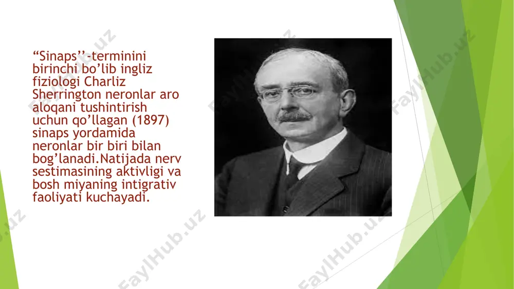 ronlar bir biri bilan bog’lanadi.natijada nerv sistemasining aktivligi va bosh miyaning integrative faoliyyati kuchayadi.sinaps sinaptik uchlar ikki hujayra oralig’idagi sinaptik tirqish va sinaptik uchlariga tegib turuvchi hujayra qismi kiradi.neronlar aro sinaps odatda bir nerv hujayrasi aksonining tarmoqlari va tana, dindritlar yoki boshqa neron aksonini vujudga keltiradi.hujayralar oralig’ida sinaps tirqishi bo’lib bu tirqish orqali qo’zg’alish medyatrlar (kimyoviy sinaps) ionlar (elektr sinaps )yoki ikkalasi (aralash sinops)yordamida uzatiladi. foydalanilgan adabiyotlar 1.odam va hayvonlar fiziologiyasi “ z.t.rajamurodov,a.i.rajabov,b.m bozorov.toshkent-2009 2.odam va hayvonlar fiziologiyasi almatov k.t allamurodov sh.a toshkent unv-2004 3.odam fiziologiyasi nuritdinove.n