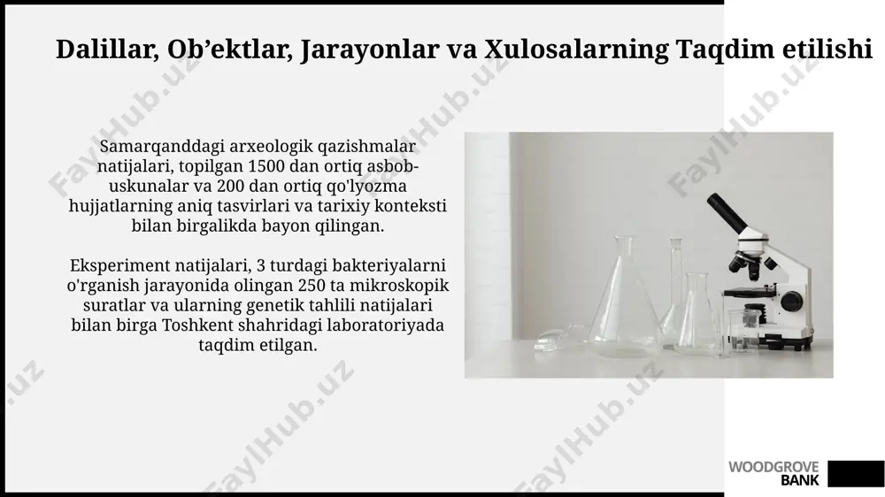 dalillar, ob'ektlar, jarayonlar va xulosalarning taqdim etilishi - Page 3