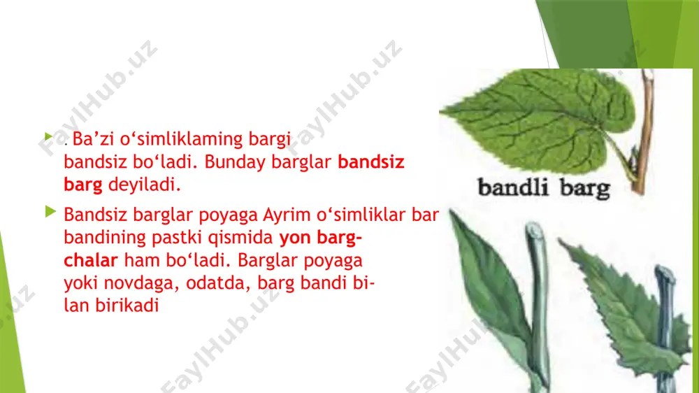 barg - Page 4