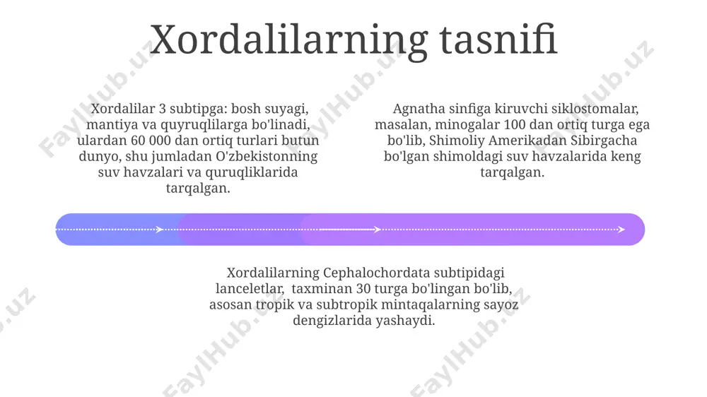umiga mansub organizmlar, suv ustunida plankton sifatida 3000 metr chuqurlikka qadar tarqalgan. umurtqasiz xordalilar, masalan, lanceletlar (amphioxus), 40 ga yaqin turga ega boʻlib, dunyoning tropik va subtropik mintaqalaridagi, jumladan, qizil dengizdagi sayoz suvlarida yashaydi. umurtqasiz xordalilarning embrional rivojlanish davrida paydo boʻladigan notochord 50 dan ortiq genlarning ifodalanishi bilan boshqariladi va hayvonning tanasiga strukturaviy qo'llab-quvvatlash beradi. xordalilarning evolyutsiyasi 01 02 03 taxminan 375 million yil muqaddam, devon davrida, xordalilar quruqlikka chiqishni boshlab, amfibiyalar va keyinchalik sudralib yuruvchilar, qushlar va sut emizuvchilar kabi yangi guruhlarga evolyutsiyalanishni boshladilar. dengizda yashovchi xordalilarning evolyutsiyasi 400 million yildan ortiq davom etgan va ularning suvdagi hayot tarziga moslashganligi bilan tavsiflanadi, bu jarayonda baliqlar kabi murakkab tuzilishga ega turlar paydo boʻlgan. xordalilarning evolyutsiyasi 540 million yil avval kambriy portlashi davrida boshlangan boʻlib, bu davrda birinchi xordali hayvonlar, masalan, lanceletlar kabi oddiy organizmlar paydo boʻlgan. sales 1st qtr 2nd qtr 100 0 sales 1st qtr 2nd qtr 100 0 …