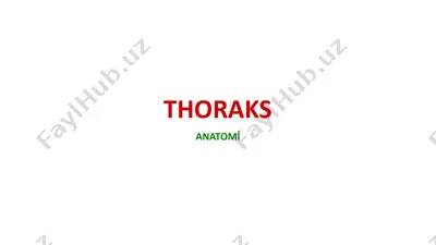 thoraks anatomiyasi — PPTX