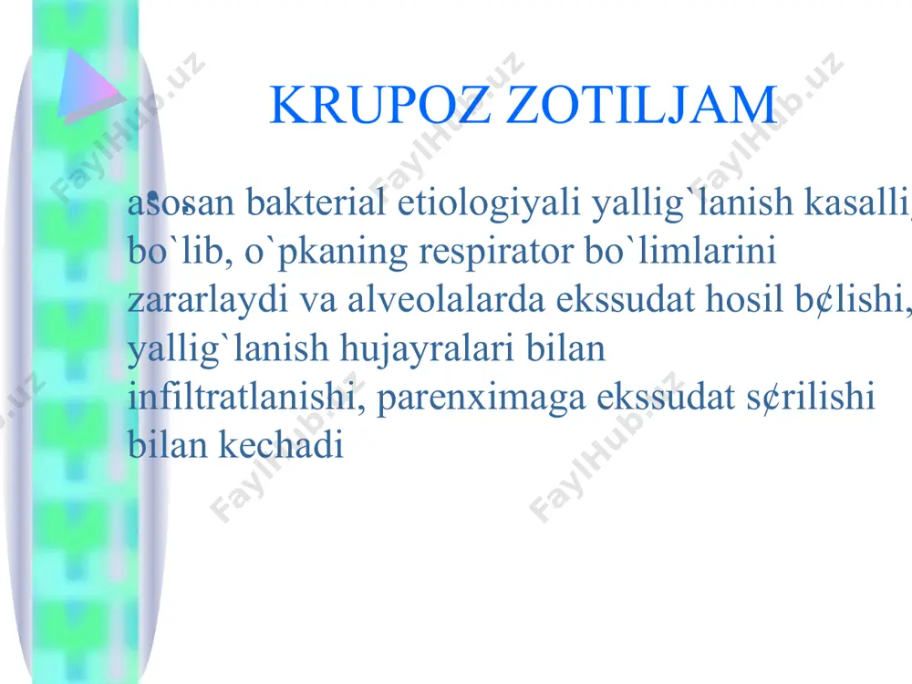 yuqligida ko`p miqdorda mikroorganizmlar aniqlanadi. 2 bosqich – qizil jigarlanish – 1-3 sutka davom etadi, alveolalar va mayda bronxlarga qon shaklli elementlari (asosan eritrositlar)ning diapedezi va plazma o?sillarining (asosan fibrin) chi?ishi natijasida shikastlangan soxa xavosiz, zich va qizil rangda bo`ladi. 3 bosqich – kulrang jigarlanish – 2-6 sutka davom etadi, o`pka kesmada kulrang-sariq tusli bo`ladi, alveolalar mikroskopiyada fagositlangan mikroblar tutgan k¢p mi?dorli neytrofillari bilan to`ladi. 4 bosqich – so`rrilish bosqichi – asta-sekin fibrinning so`rilishi bilan kechadi. alveolyar epiteliyning ajralishi, alveolalarning mikrob tutgan neytrofillarni fagositlagan makrofaglar bilan t¢lishi. bos?ich davomiyligi jarayon tarqalganligi, o`tkazilgan davo, organizm reaktivligi, qo`zg`atuvchining virulentligiga boqliq klinika – ko`pincha o`tkir, tusatdan, qaltiroq bilan boshlanadi shikoya tla r · jarayonga plevra qo`shilishi natijasida chuqur nafas olganda kuchayuvchi ko`krak qafasida og`riqlar, asta-sekin avj olib boruvchi xansirash bosh og`rig`i, darmonsizlik. umumiy intoksikasiya belgilari talvasa b¢lishi darajasigacha ifodalanadi. 2-3 kundan boshlab balg`am ajraladi, avval oz miqdorda, qovushqoq, keyinchalik miqdori oshib boradi va …
