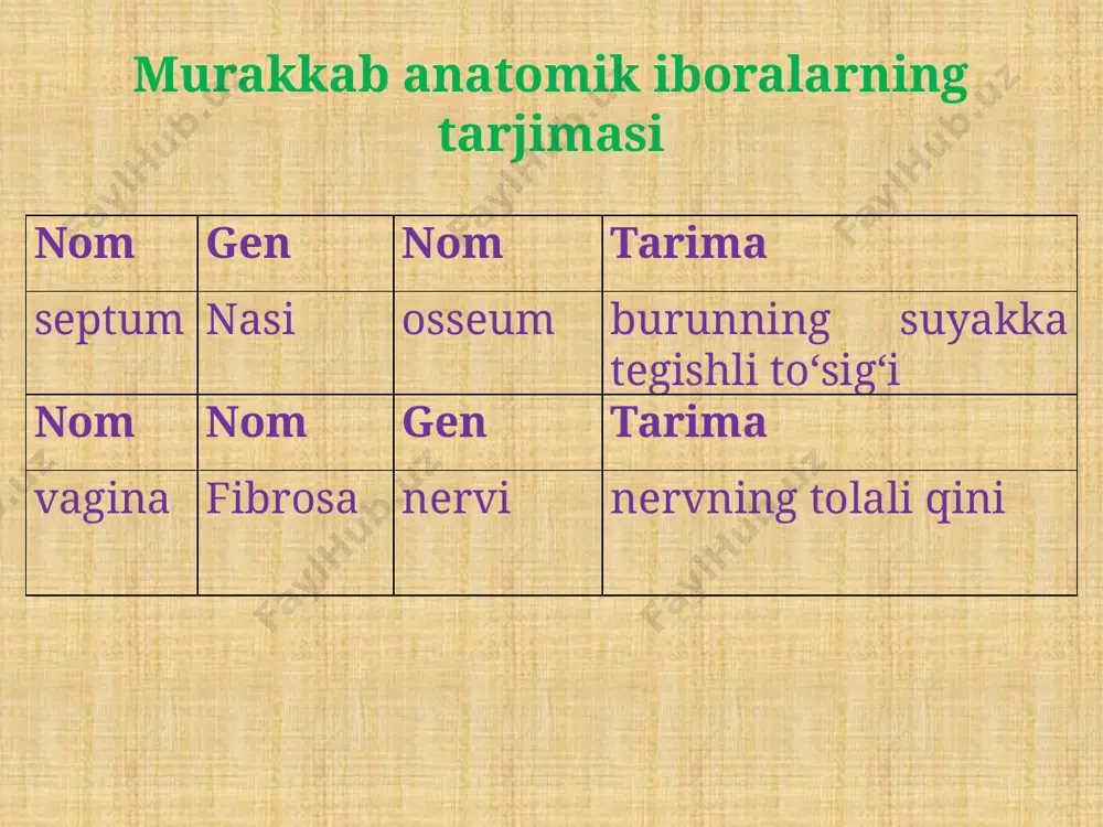 murakkab anatomik iboralarni tarjima qilish. mushaklarning nomlanishi - Page 5