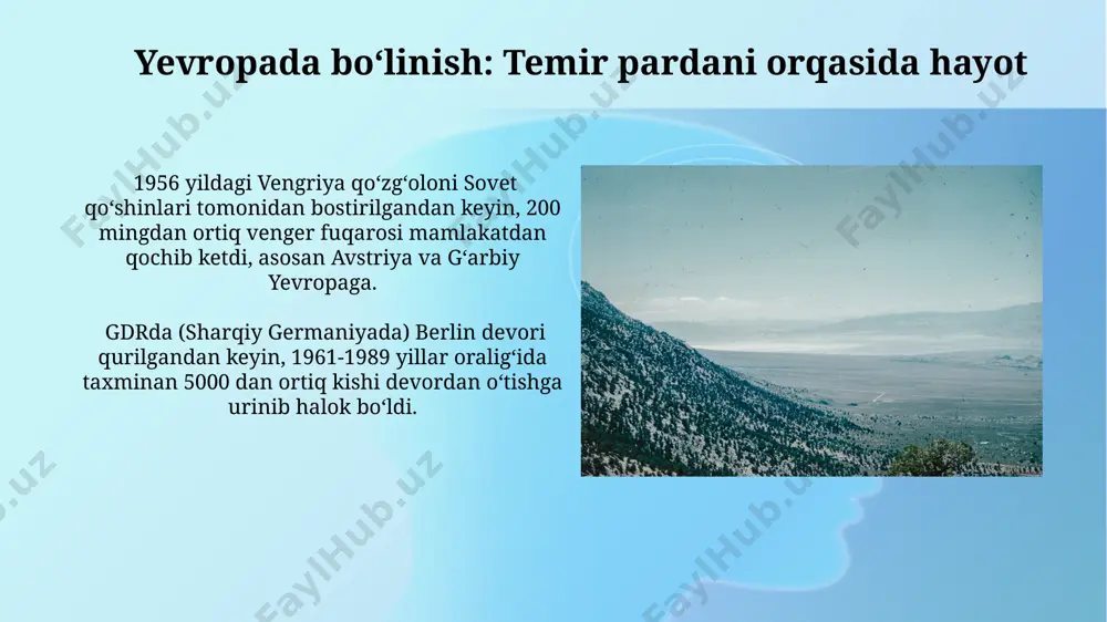 aqsh va yevropa mamlakatlari sovuq urush davrida - Page 5